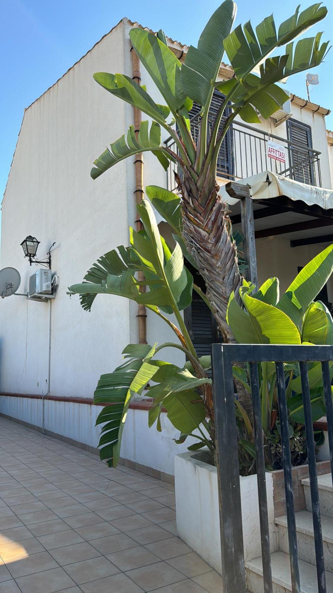 Villa a San Vito lo Capo Minaudo Esterno foto