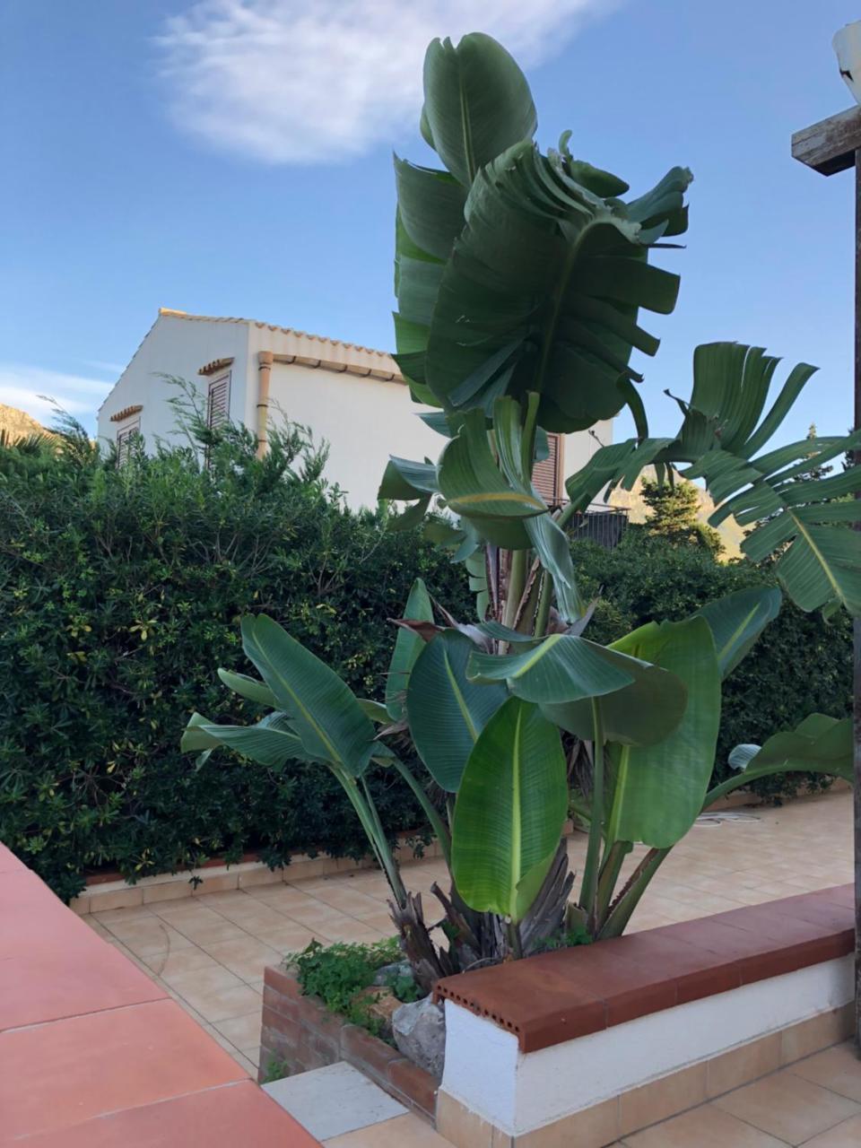 Villa a San Vito lo Capo Minaudo Esterno foto